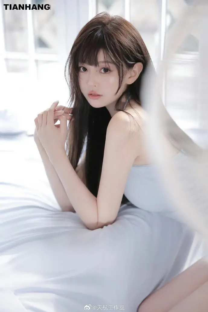 IDE市场份额对比